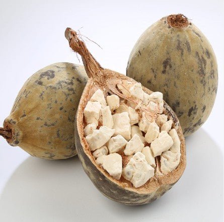 Fruit du baobab